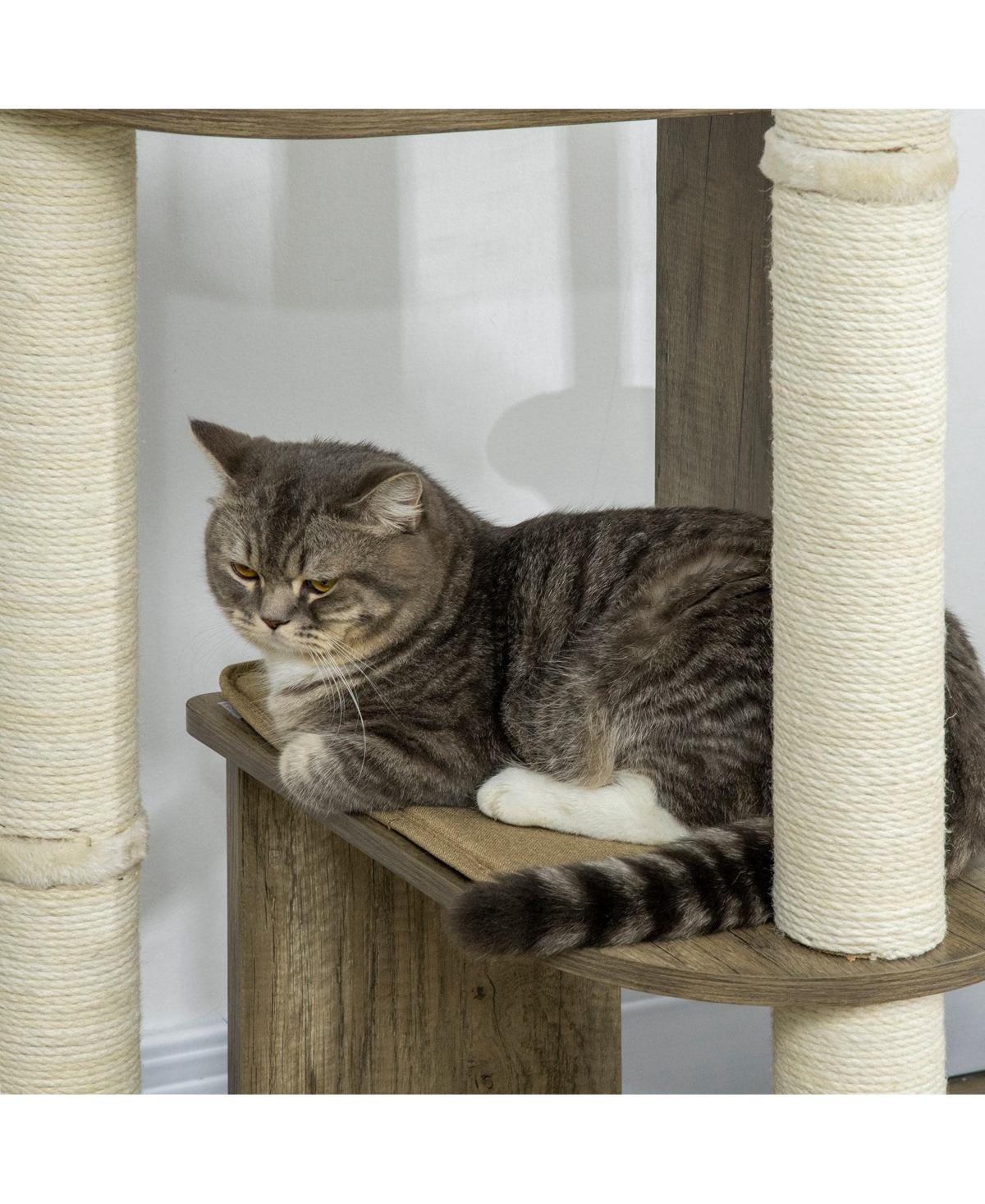 Zeus & Ruta 65" Cream White Corner Modern Tall Cat Tree for Climbing