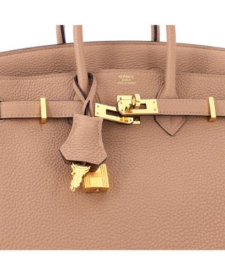 Birkin 25 Handbag Brown Togo with Gold Hardware