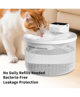 Touch-Free Automatic Pet Waterer, 2L Smart Sensor Fountain with Continuous Fresh Water for Cats, White