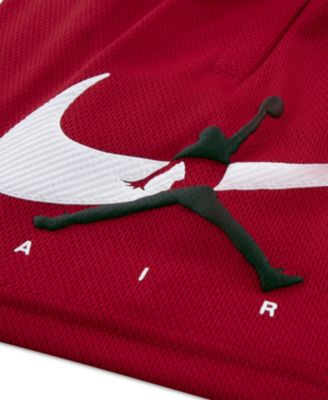 Boys' Toddler 2T-4T Brand Arch Mesh Shorts