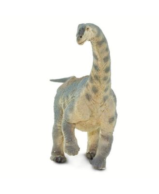 - Camarasaurus