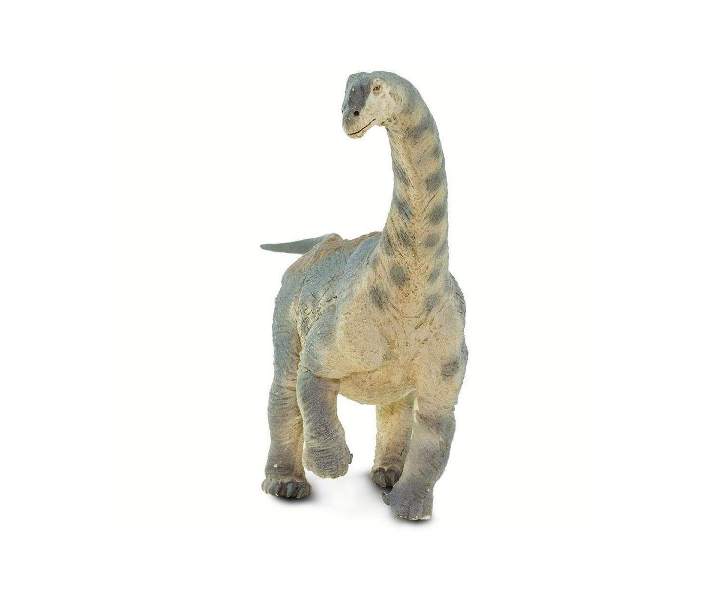Детская фигурка Safari Ltd. Camarasaurus Hand-Painted 1-Piece Figurine, Ages 3+ — фото 3
