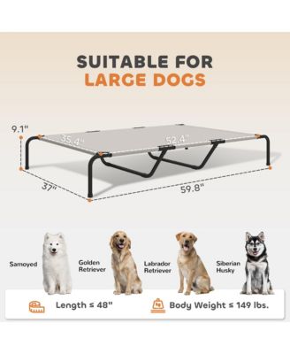 Elevated Pet Sofa Bed - Modern Raised Lounge for Large Dogs