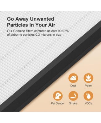 HY4866 Genuine Air Purifier Replacement Filter for HY4866 Air Purifer, 4 Pack, Original Version