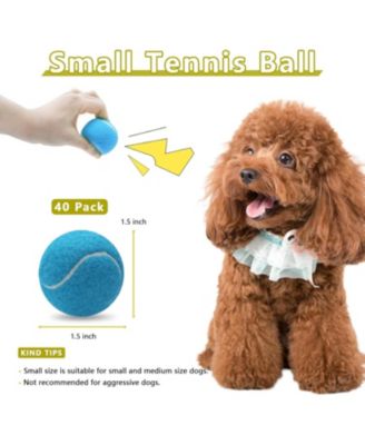 Pack of 40 Squeaky Mini Tennis Ball for Small Dogs Colorful Pet Playing Balls for Interactive Training and Ball Launchers