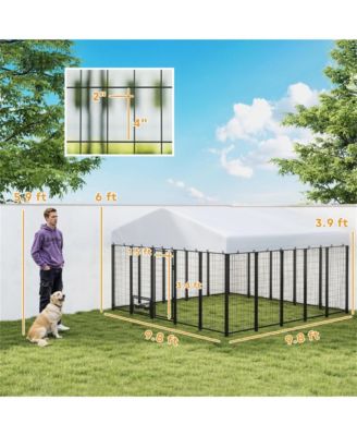 Large Outdoor Dog Kennel, Spacious Pet Shelter