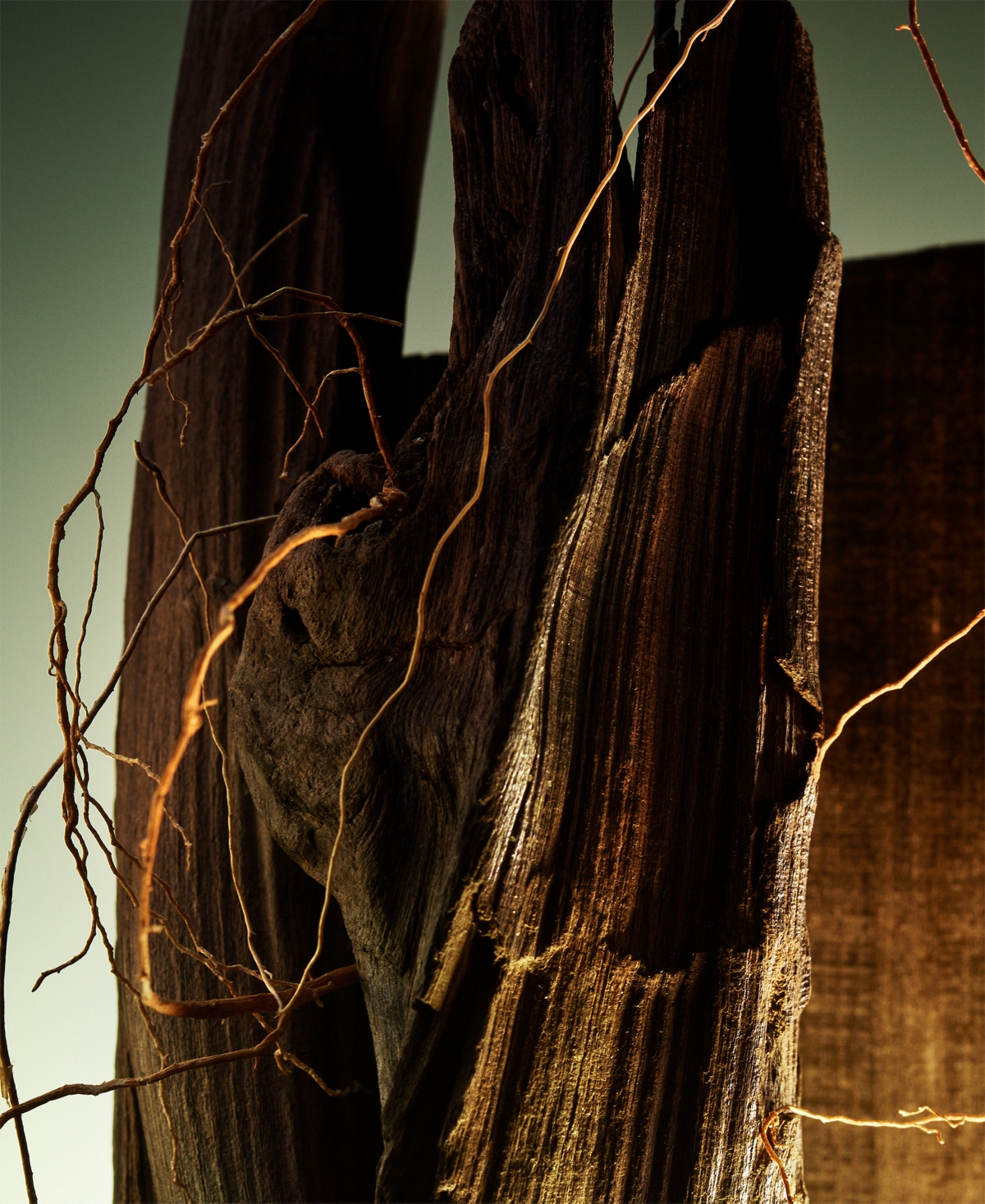 Bvlgari Man Wood Essence Parfum, 5 oz.