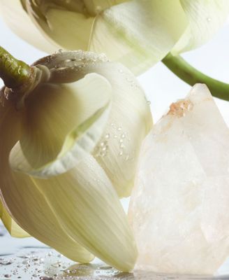 2-Pc. Man Rain Essence Eau De Parfum Gift Set