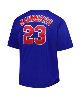 Men's Ryne Sandberg Royal Chicago Cubs Big & Tall Cooperstown Mesh Batting Practice Jersey