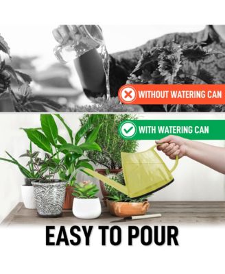 Small Watering Can with Long Slim Spout for Indoor Plants, 47oz