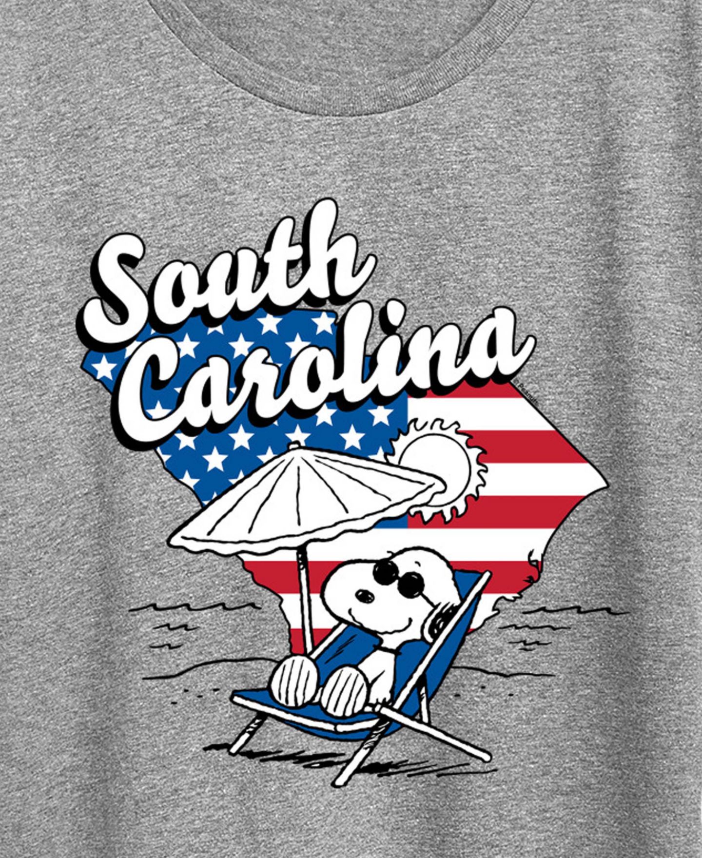 Женская футболка Hybrid Apparel Plus Size Peanuts South Carolina Graphic Crewneck, цвет: Меланжевый серый — фото 2