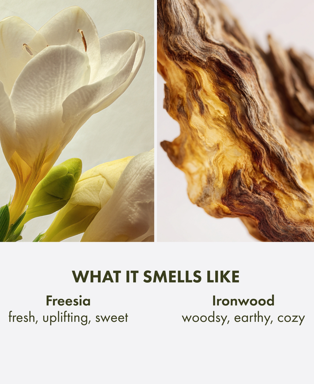 Origins Limited Edition Ironwood and Freesia Hand-Poured Scented Candle, 10 oz.