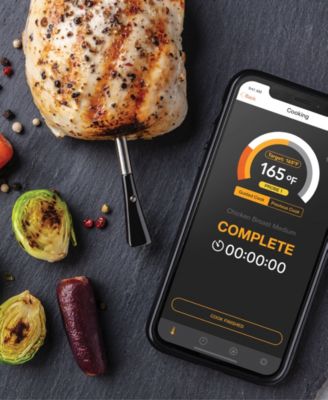 STAKE Dual Probe Wireless Bluetooth Thermometer