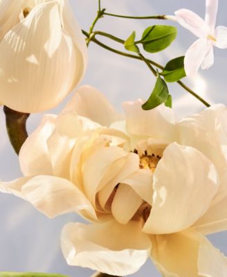 2-Pc. Omnia Crystalline Eau De Parfum Gift Set