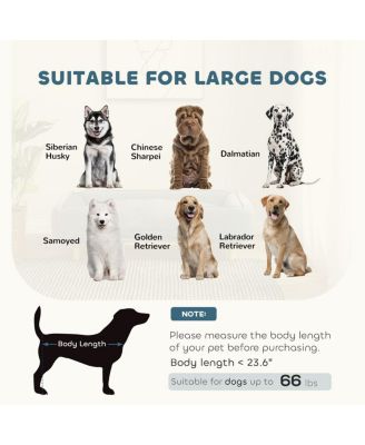 Modern Pet Couch with Wood Legs and Cushion for Large Dogs