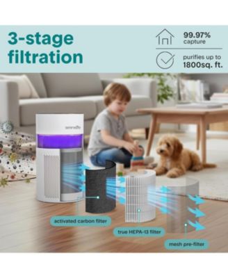 Portable Air Purifier