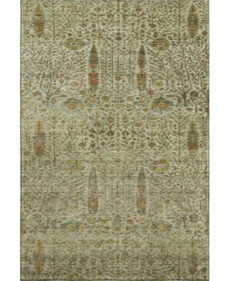 Mayfield AMF2053 10'x14' Area Rug