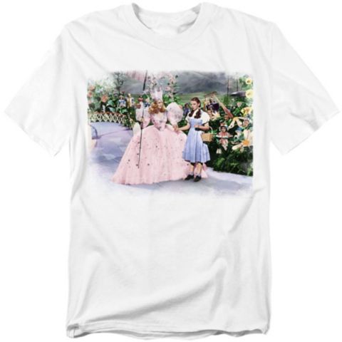 Мужская футболка Wizard Of Oz Dorothy And The Good Witch, цвет: Белый