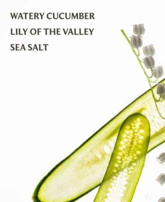 Gentle Mist Lily of the Valley Hand Sanitizer, 1 oz.