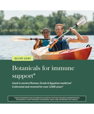 Olive Leaf - Traditional Immune Health Support - Olive Leaf Extract & Oleuropein - 120 Liquid Phyto-Caps (120 Servings)