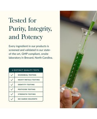 Plant Force Liquid Iron - Vegetarian Iron Supplement to Help Maintain Healthy Iron & Energy Levels - 8.5 Fl Oz (25 Servings)