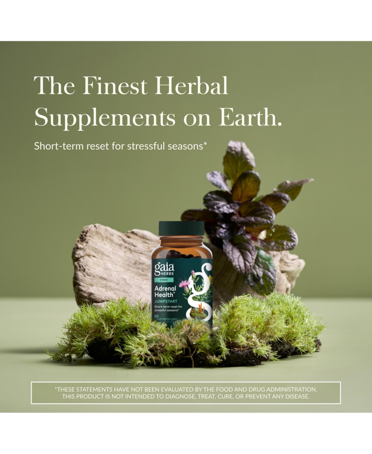 Gaia Herbs Adrenal Health Jump Start - Helps Sustain Healthy Energy and Stress Levels - With Cordyceps, Schisandra, Rhodiola, and Licorice