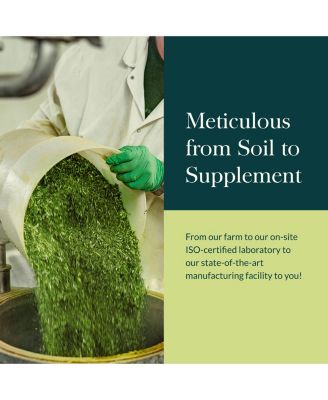 Vitex Berry - Support Hormone Balance for Women & a Healthy Menstrual Cycle - 120 Liquid Phyto-Caps (60 Servings)