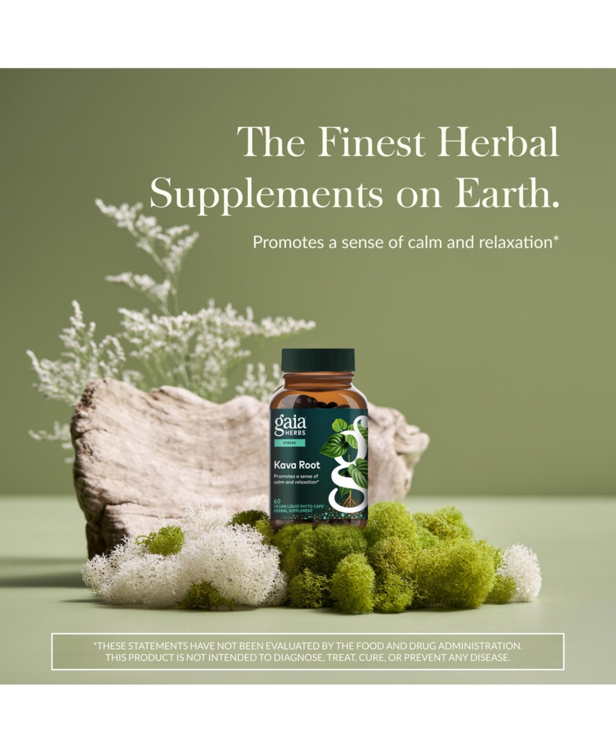 Gaia Herbs Kava Root - Helps Sustain a Sense of Natural Calm and Relaxation During Times of Stress - Made With Noble Kava Cultivars