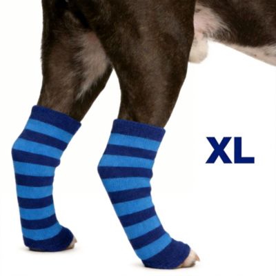 Dog Recovery Sleeve for Knee Protection and Joint Support