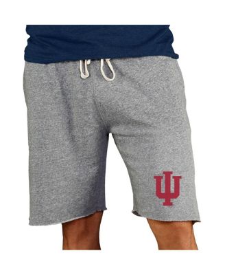 Men's Gray Indiana Hoosiers Mainstream Terry Shorts