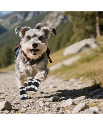 Anti-slip Dog Boots for Small Puppies - Breathable, Reflective, & Paw Protective
