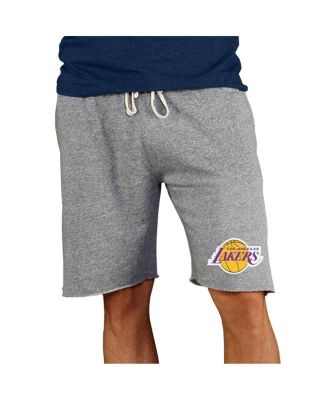 Men's Gray Los Angeles Lakers Mainstream Terry Shorts