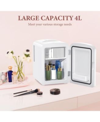 4L Skincare Fridge with Dimmable LED Mirror & AC/DC Power