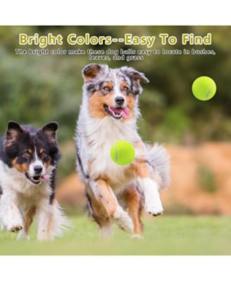 Pack of 20 Squeaky Dog Tennis Balls 2.5 Inch Floatable Fetch Balls in Bright Colors with Mesh Carrying Bag for Pet Training and Exercise
