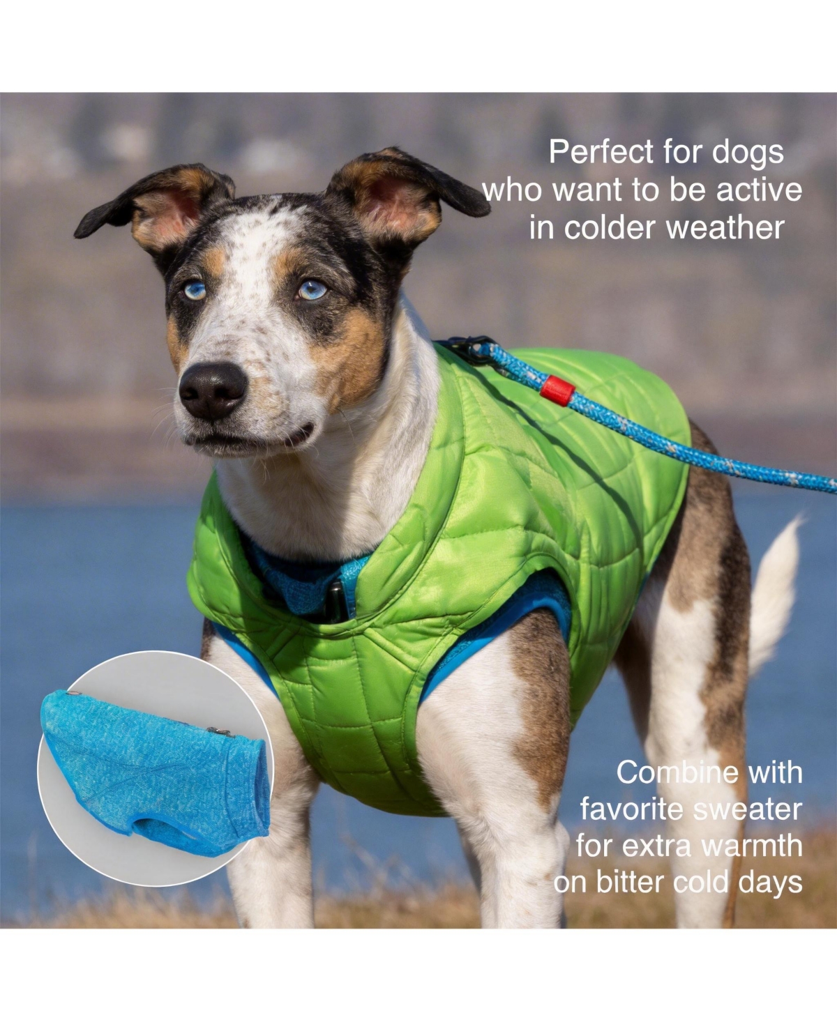 Aronkl Loft Dog Jacket: Insulated, Reversible, Water-Resistant, Reflective