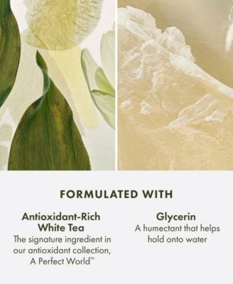 A Perfect World Antioxidant Face Cleanser With White Tea, 5 oz.