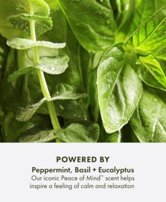 Peace Of Mind Relaxing Bath Oil, 5 oz.