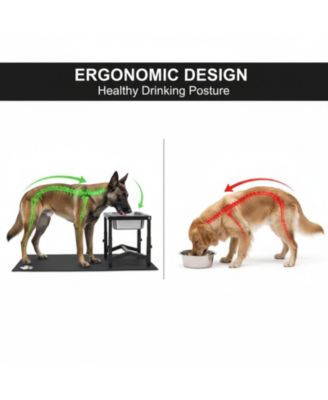 Elevated Dog Water Bowl 4 Adjustable Heights Stainless Steel Stand for Breeds Joint Support