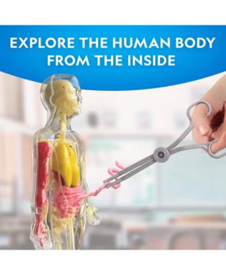 Glow-In-The-Dark Human Body