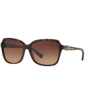 sunglass hut coach sunglasses