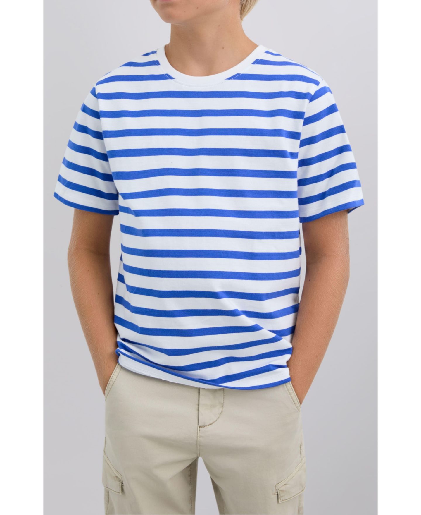 Scalpers Big Boys Stripestee, цвет: Bluestripes — фото 3