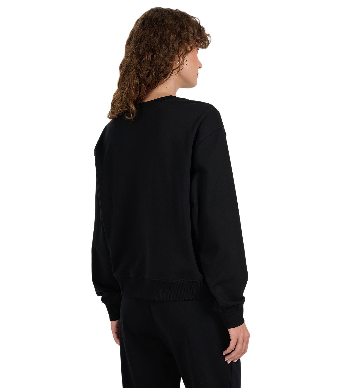 Women's Pullover Basic Sweatshirt Without Hood