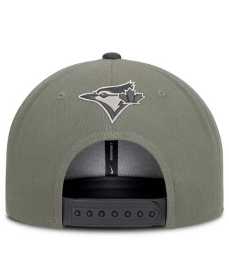 Men's Olive Toronto Blue Jays Pro Dri-FIT Snapback Hat