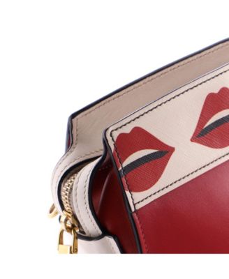 Small Esplanade Crossbody Bag Printed Saffiano and City Calf