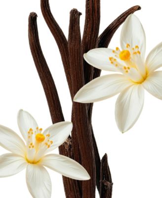 4-Pc. Althair Eau de Parfum Gift Set