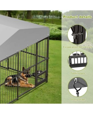 10x10x6 ft Outdoor Dog Kennel for Large Dogs, Lockable Dog Enclosure with UV-Resistant Waterproof Roof