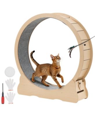 48" Wooden Cat Exercise Wheel with Carpeted Runway and Locking Mechanism