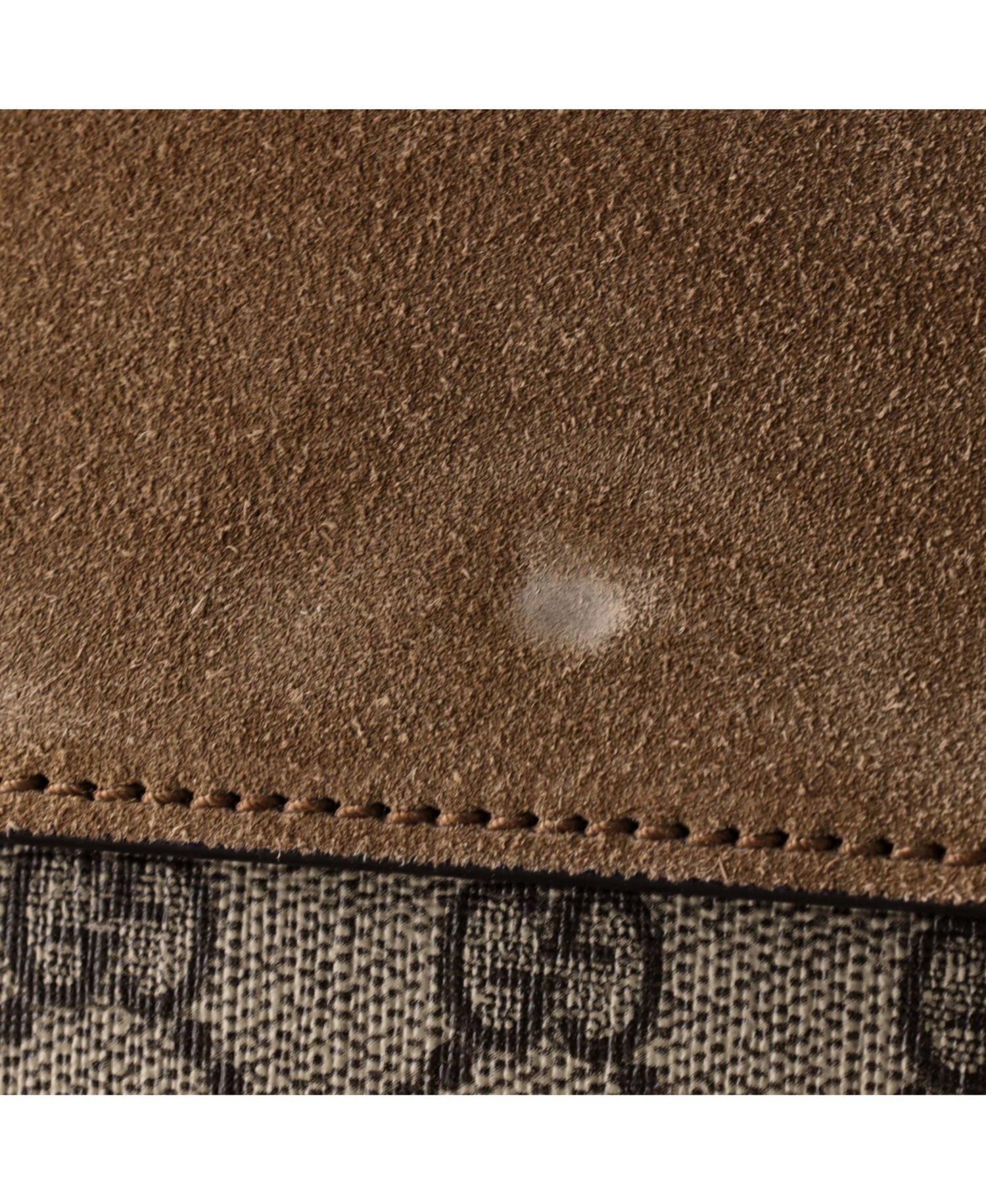 Small Dionysus Bag GG Coated Canvas with Crystal Embellished Metal
