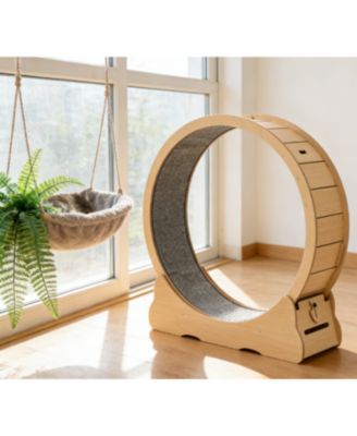 Zeus and Ruta 48 Inch Cat Exercise Wheel for Indoor Cats up to 28 lbs Carpeted Treadmill with Locking Mechanism