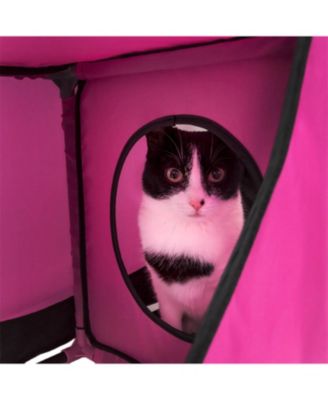 Zeus and Ruta Collapsible Cat Playpen Folding Soft Pet Obstacle Course Indoor Outdoor Travel Kitten House Bed